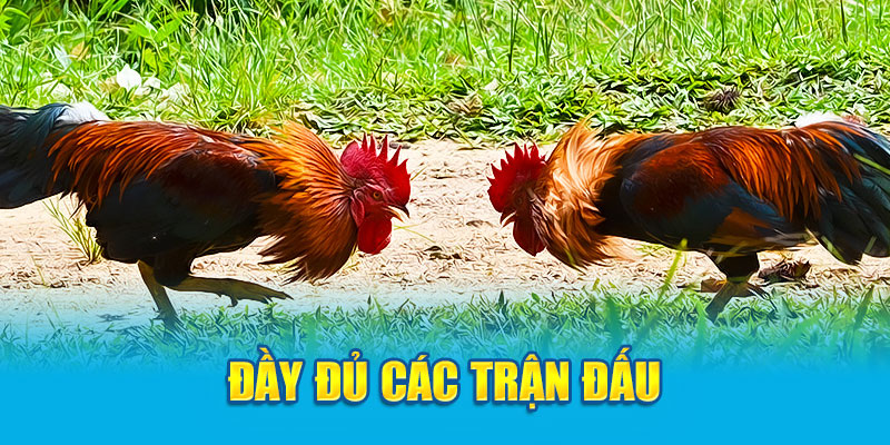 Đầy đủ các trận đấu