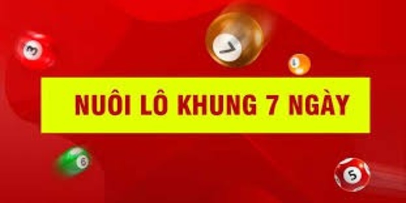 Định nghĩa nuôi lô 7 ngày là gì đầy đủ từ A-Z 