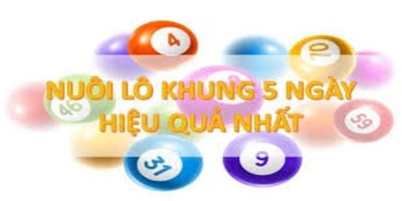 Cách vào tiền nuôi lô khung hiệu quả nhất hiện nay