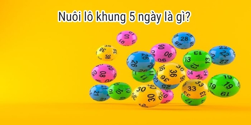 Bí quyết nuôi lô khung 5 ngày hiện nay